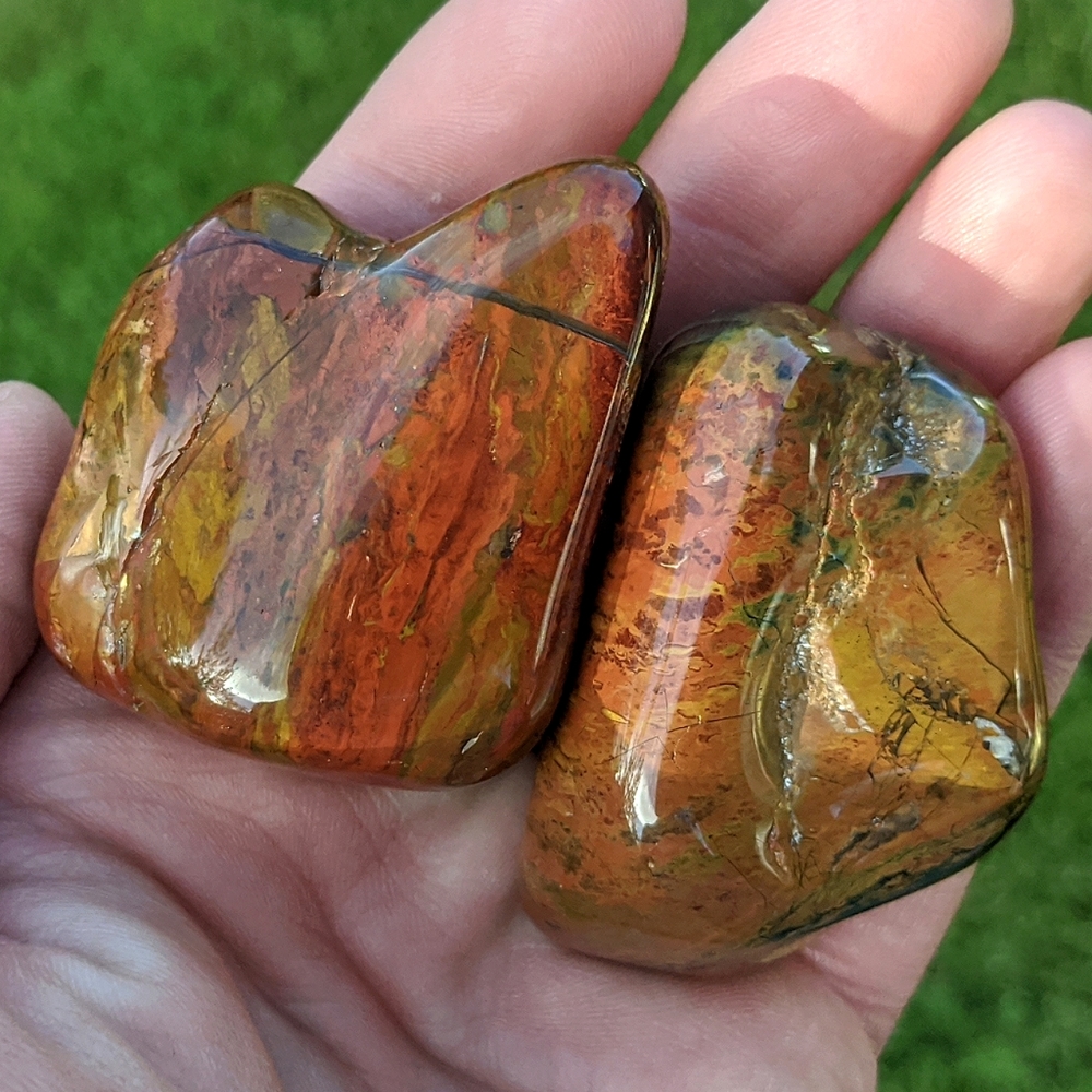 2 Petrified Wood mirror polished pocket stone healing crystal or decor 119g